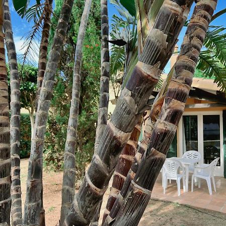 Bungalow Tropical Nº6 - Son Xoriguer Apartment Exterior foto