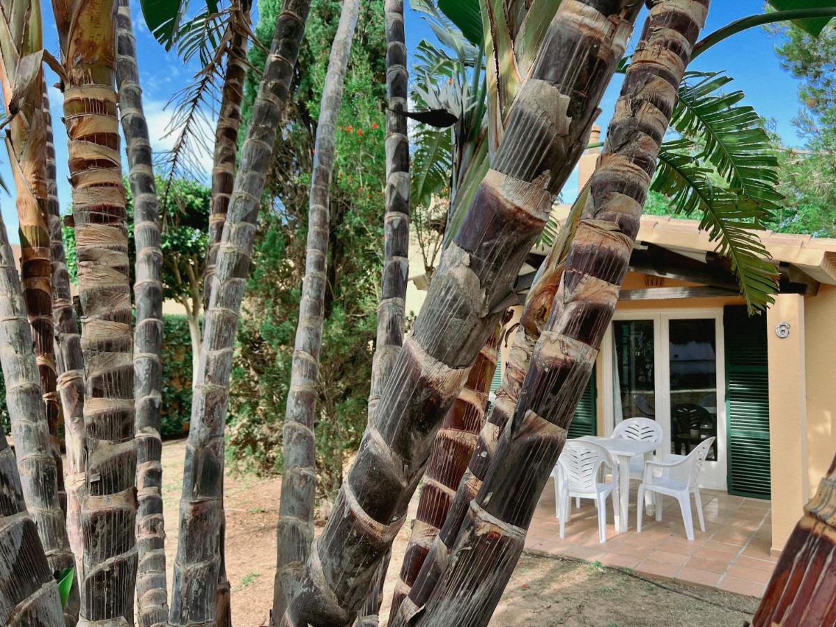 Bungalow Tropical Nº6 - Son Xoriguer Apartment Exterior foto